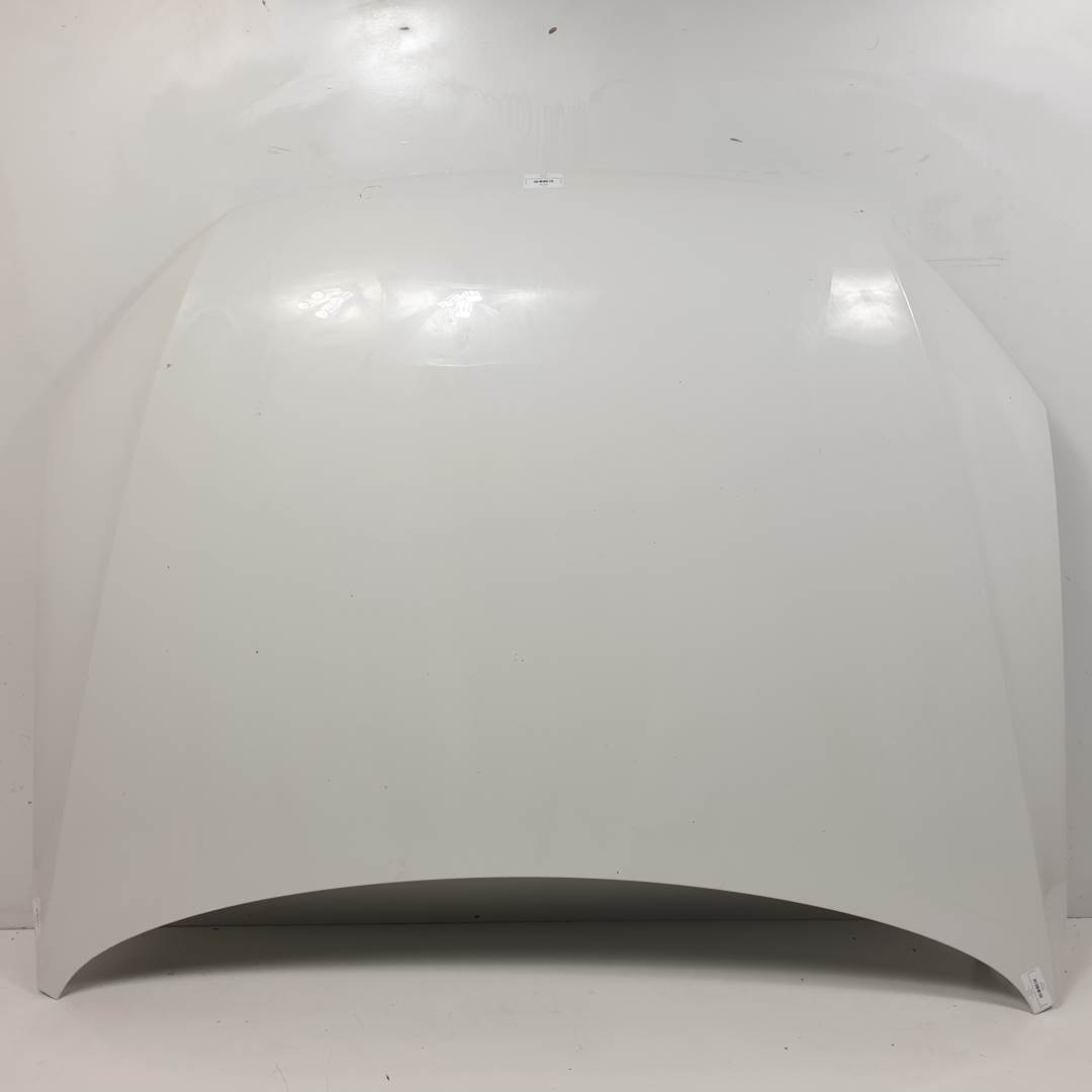 CAPOT - VOLKSWAGEN - PASSAT VARIANT (365)