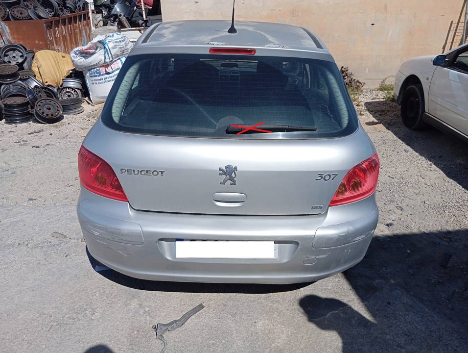 PORTON TRASERO