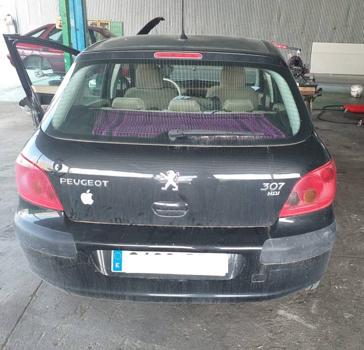 Imagen del vehículo PEUGEOT 307 (S1)