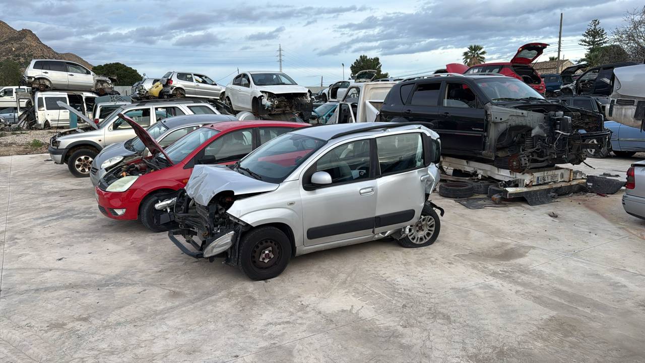 Imagen del vehículo FIAT PANDA (319)