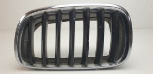 REJILLA DELANTERA 51317185223 BMW X5 (E70) Autodesguaces Alicante