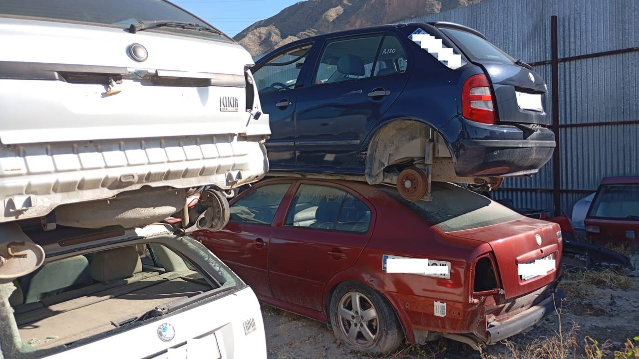 Imagen del vehículo SKODA OCTAVIA COMBI (1U5)