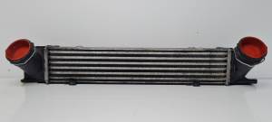 INTERCOOLER 752491608 BMW X1 (E84) Autodesguaces Alicante