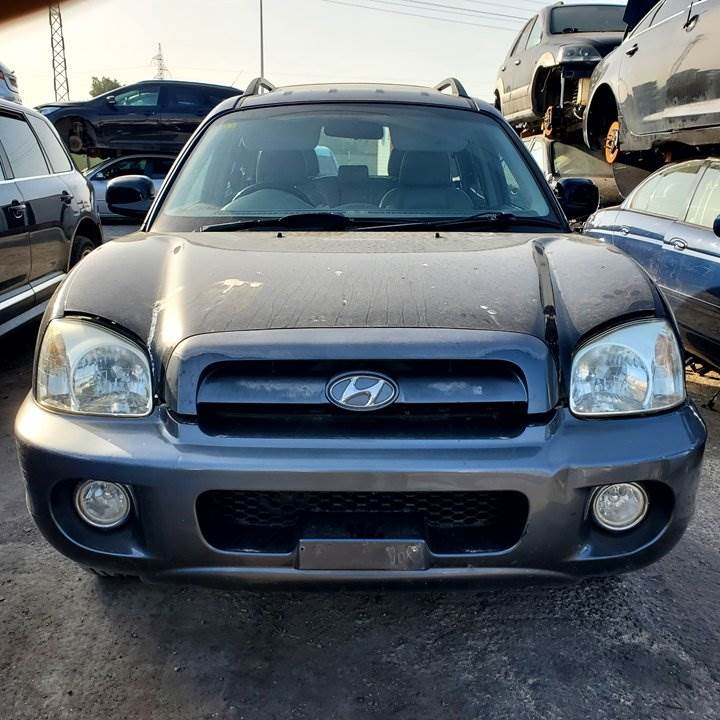 HYUNDAI SANTA FE (SM) (2000 - 2006)