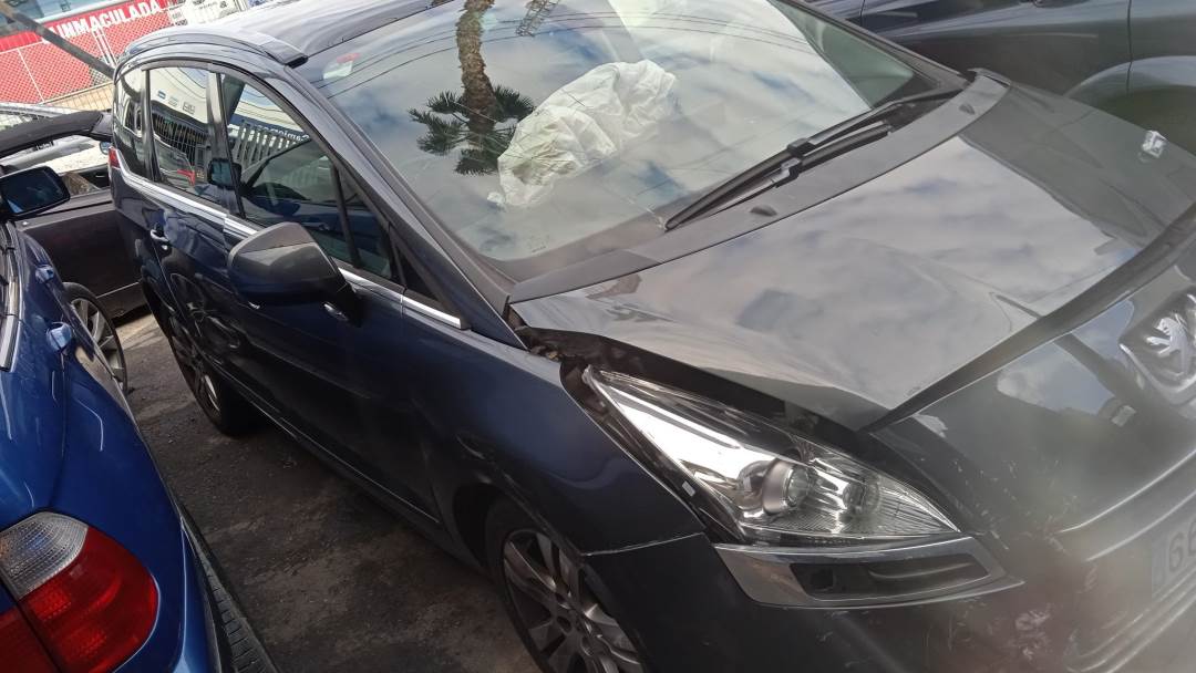 PEUGEOT 5008 (T87) (2009 - 2013)