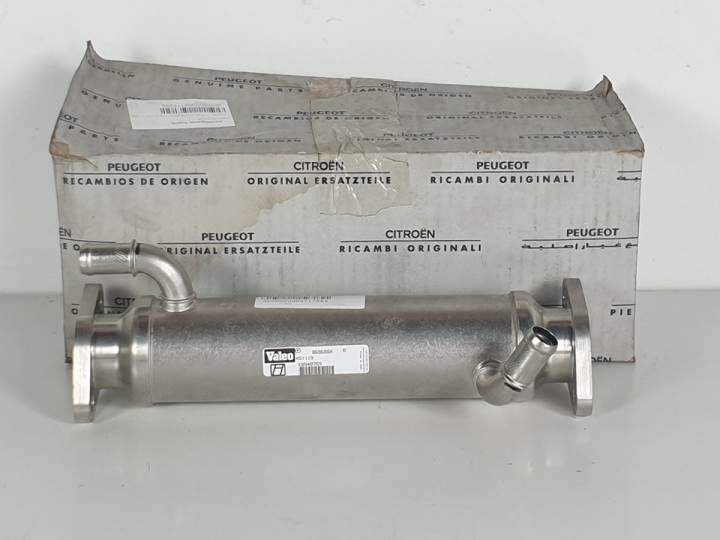 ENFRIADOR EGR 869688X CITROEN CAJA ABIERTA DOBLE CABINA Autodesguaces Alicante