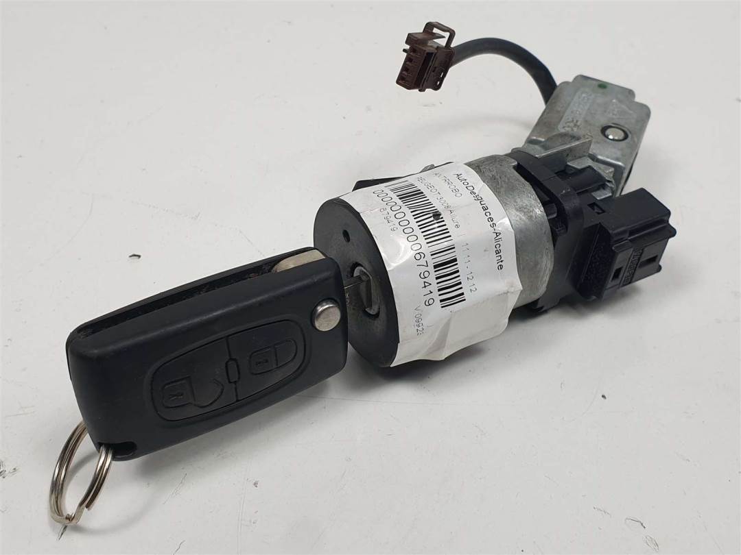 ANTIRROBO - 9663123380 - PEUGEOT - 3008 (T84)