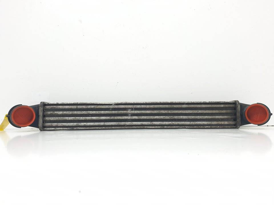 INTERCOOLER - 517189530 - FIAT - DOBLO (119)