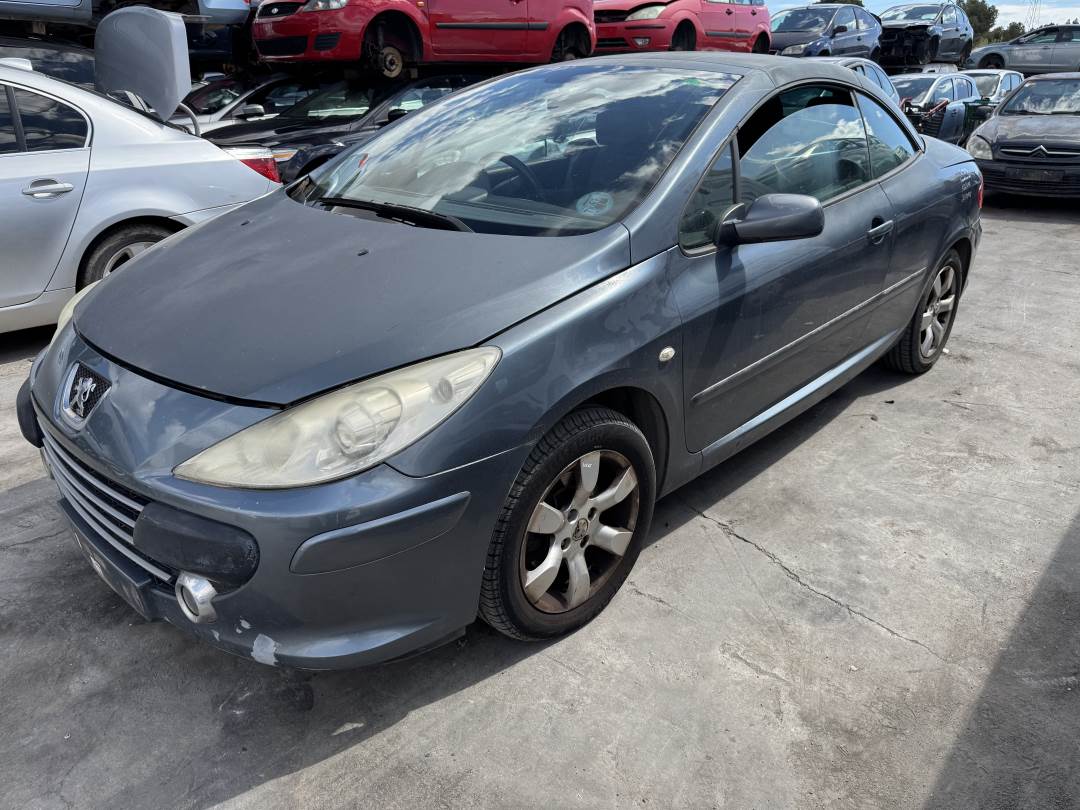 PEUGEOT 307 CC (S2) (2005 - 2009)