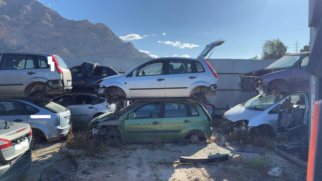 Imagen del vehículo FORD FIESTA (CBK)