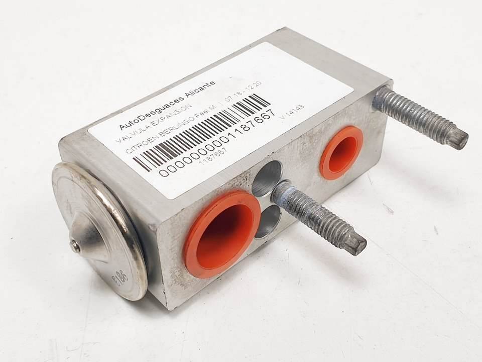 VALVULA EXPANSION - CITROEN - BERLINGO (K9)