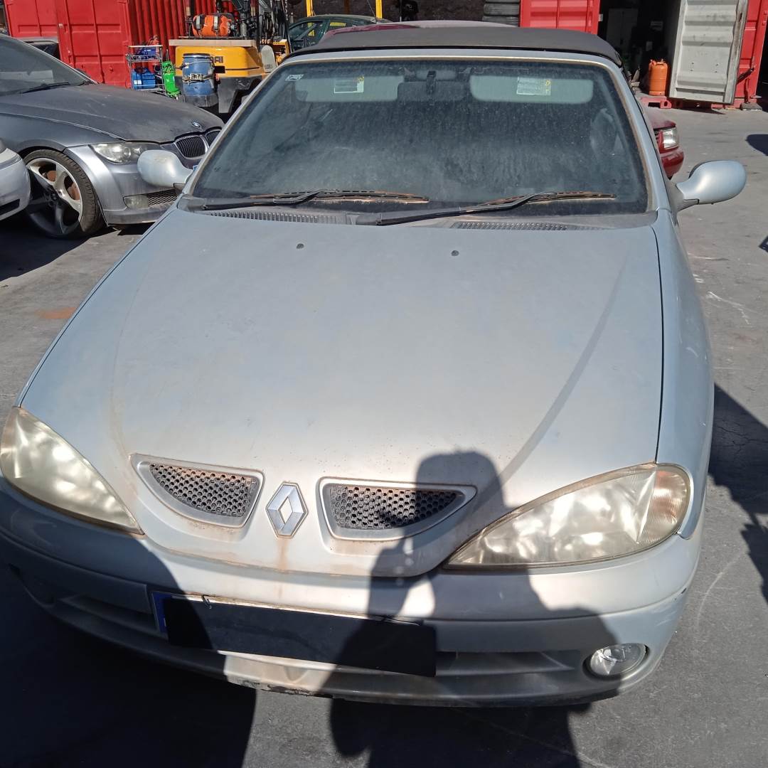 RENAULT MEGANE I FASE 2 CABRIOLET (EA..) (1999 - ...)