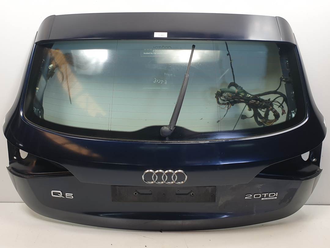 PORTON TRASERO - AUDI - Q5 (8R)